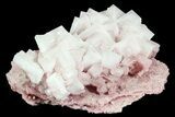 Pink Halite Crystal Plate - Trona, California #72277-3